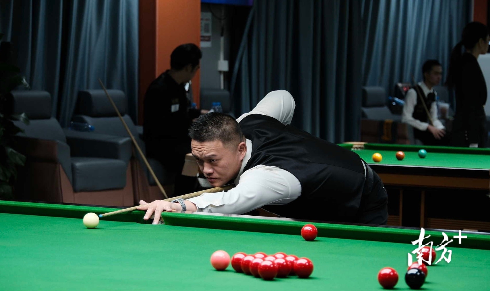 作者, 赛在东莞市