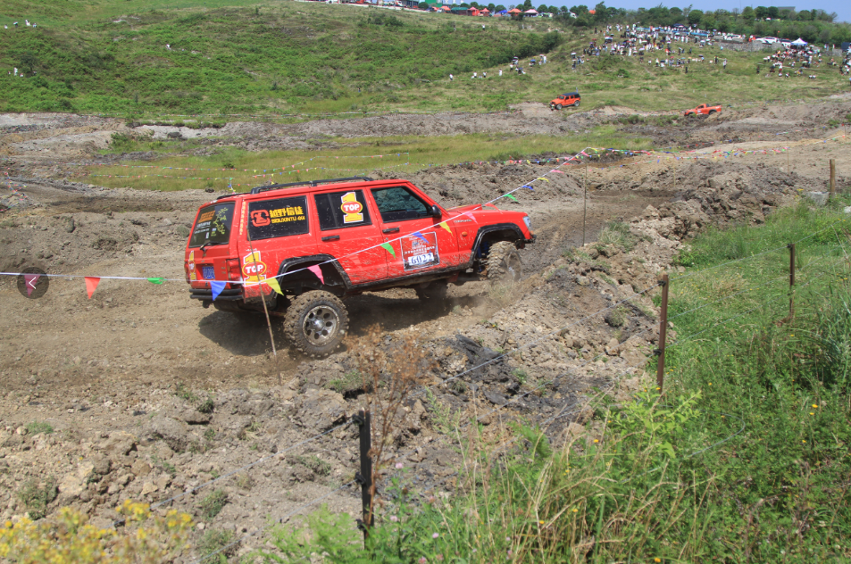 许再晶, 两辆车为一